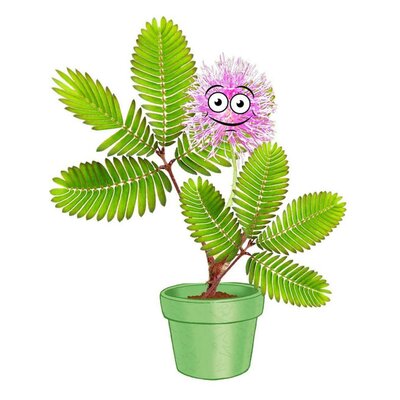 Kosmos Mimosa Garden Speelset