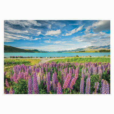 Clementoni Legpuzzel Bloemen bij Lake Tekapo, 1500st.