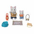Sylvanian Families 5763 Duo Avonturies Latte Kat Broer en Baby_